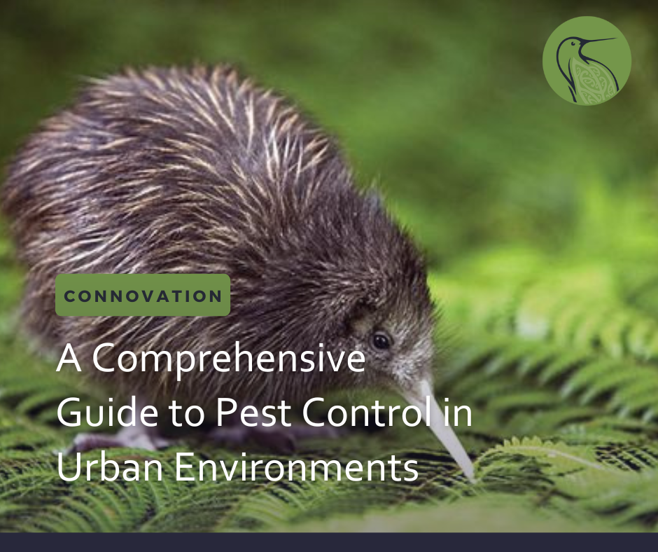 Comprehensive Guide to Pest Control in Urban Environments