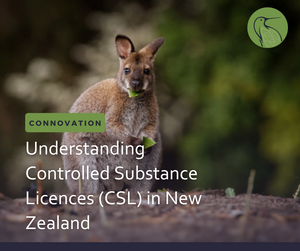 Understanding Controlled Substance Licences (CSL) in New Zealand: A Comprehensive Guide