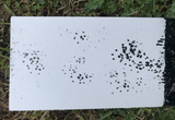 Rat footprints on the tracking card in Taranaki